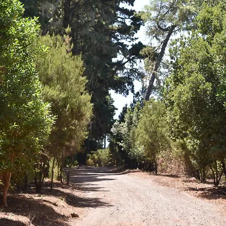 Cabana Roja Sauzal Tf بيت خشبي *